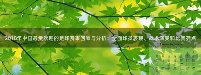  2018年中国最受欢迎的足球赛事回顾与分析：全面球员表现、战