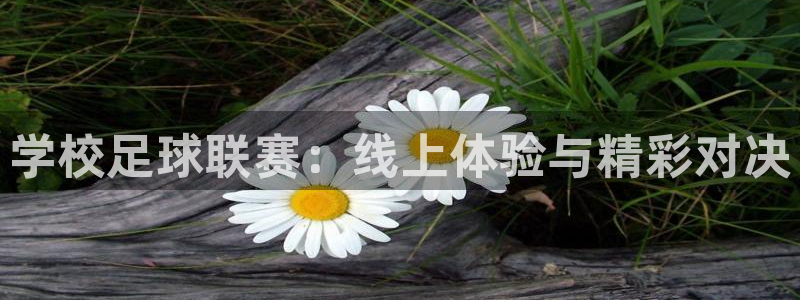 学校足球联赛：线上体验与精彩对决