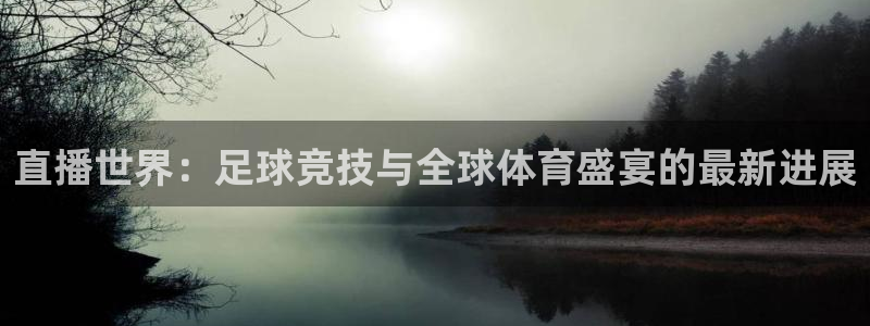  直播世界：足球竞技与全球体育盛宴的最新进展