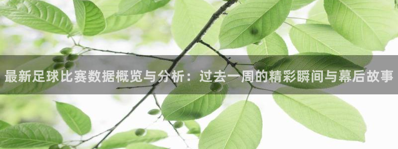 最新足球比赛数据概览与分析：过去一周的精彩瞬间与幕后故事