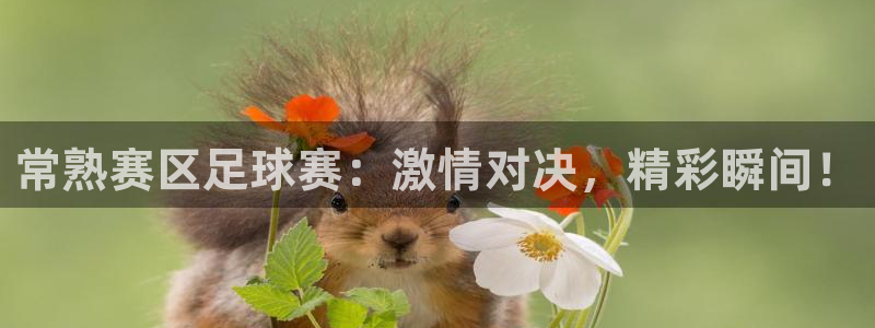 常熟赛区足球赛：激情对决，精彩瞬间！