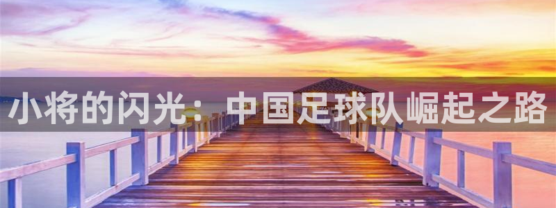 小将的闪光：中国足球队崛起之路
