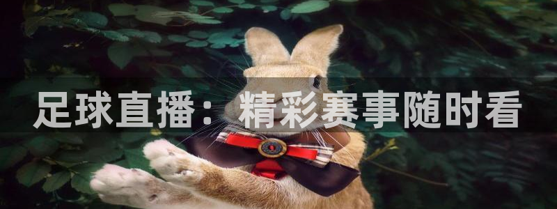 足球直播：精彩赛事随时看