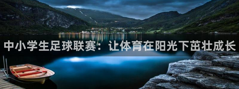 中小学生足球联赛：让体育在阳光下茁壮成长