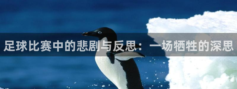 足球比赛中的悲剧与反思：一场牺牲的深思