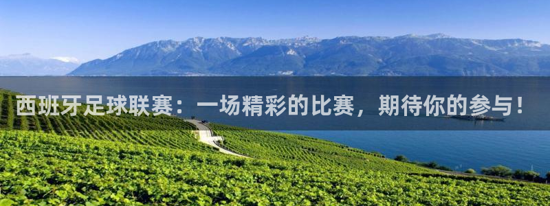  西班牙足球联赛：一场精彩的比赛，期待你的参与！