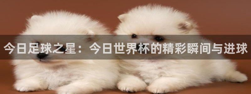  今日足球之星：今日世界杯的精彩瞬间与进球