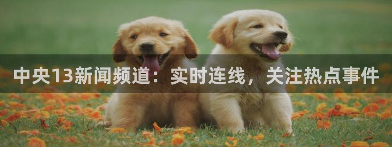 球神足球直播在线观看：中央13新闻频道：实时连线，关注热点事件