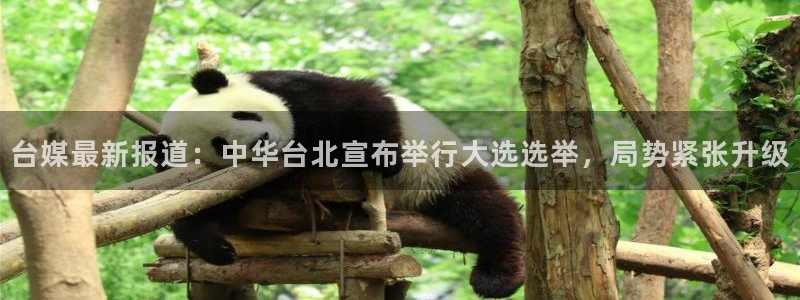 nba球神直播：台媒最新报道：中华台北宣布举行大选选举，局势紧张升级