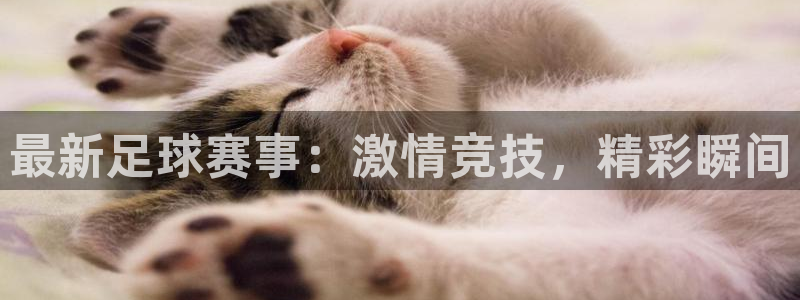 最新足球赛事：激情竞技，精彩瞬间