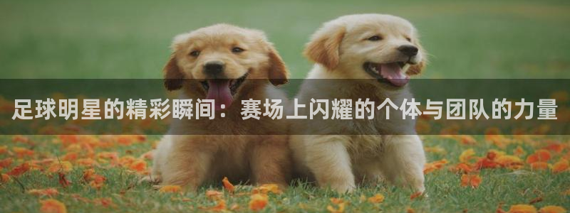 足球明星的精彩瞬间：赛场上闪耀的个体