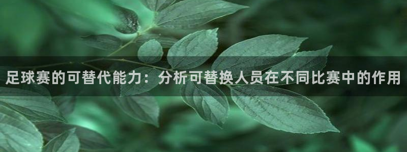 足球赛的可替代能力：分析可替换人员在