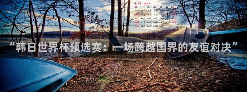“韩日世界杯预选赛：一场跨越国界的友
