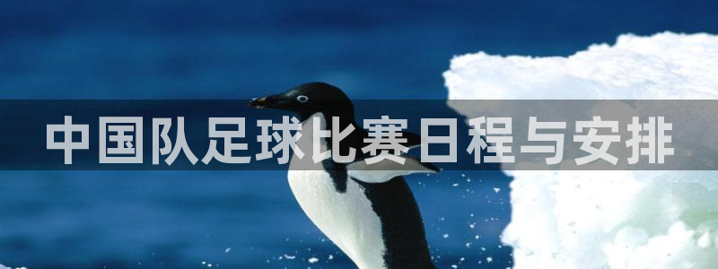 中国队足球比赛日程与安排