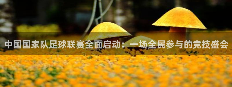 中国国家队足球联赛全面启动：一场全民