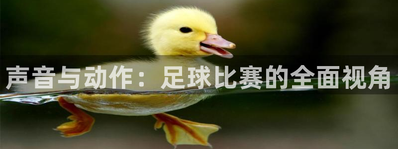 声音与动作：足球比赛的全面视角