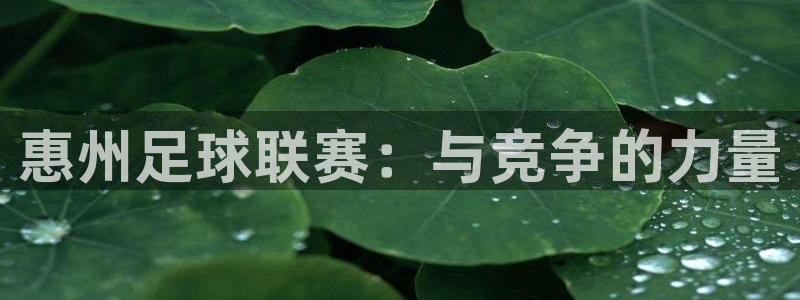 惠州足球联赛：与竞争的力量