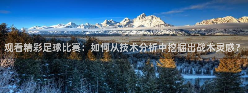 观看精彩足球比赛：如何从技术分析中挖