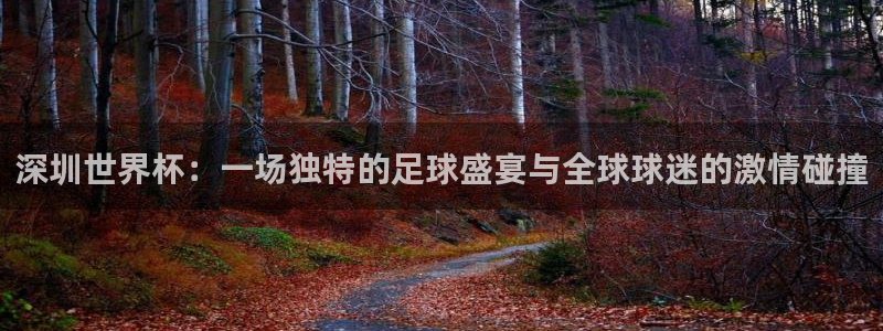 深圳世界杯：一场独特的足球盛宴与全球