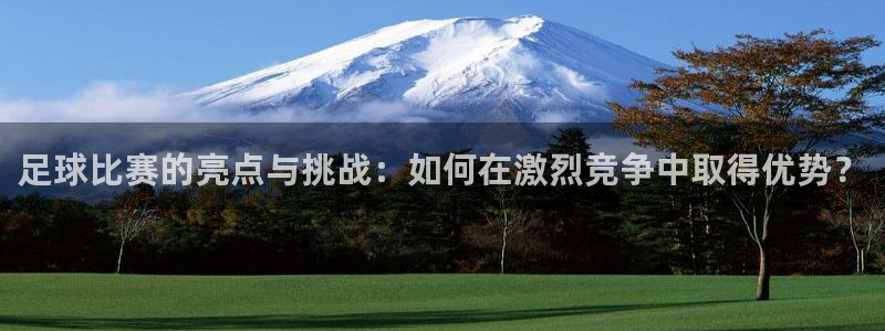 足球比赛的亮点与挑战：如何在激烈竞争