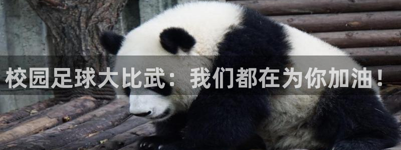 校园足球大比武：我们都在为你加油！