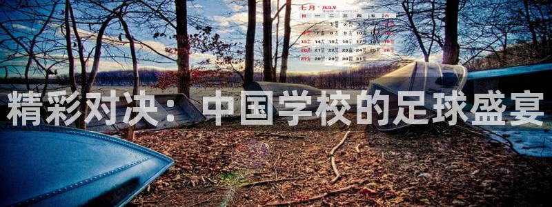 精彩对决：中国学校的足球盛宴