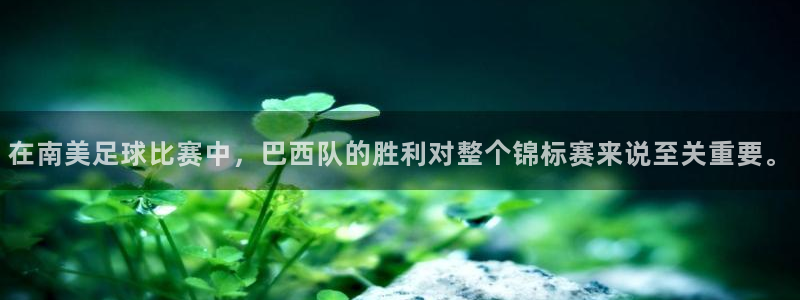 在南美足球比赛中，巴西队的胜利对整个