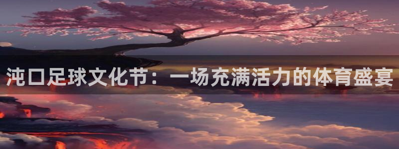 沌口足球文化节：一场充满活力的体育盛