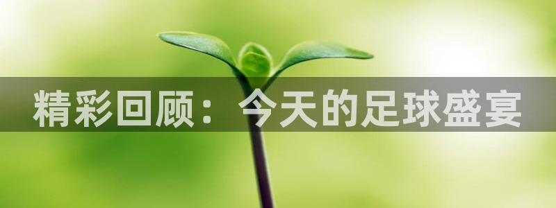 精彩回顾：今天的足球盛宴