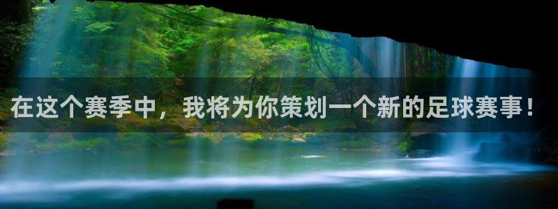 在这个赛季中，我将为你策划一个新的足