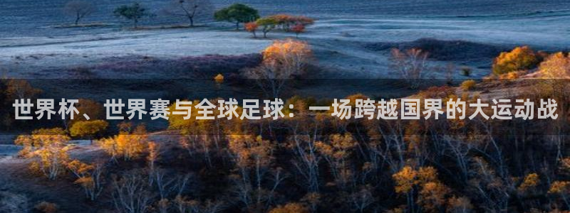 世界杯、世界赛与全球足球：一场跨越国
