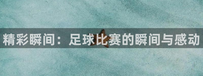 精彩瞬间：足球比赛的瞬间与感动