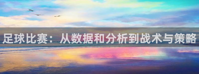 足球比赛：从数据和分析到战术与策略