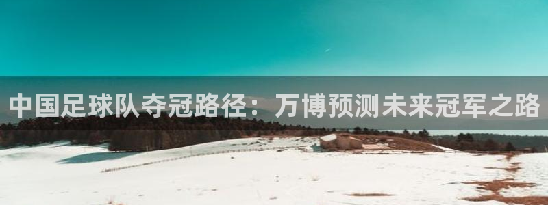 中国足球队夺冠路径：万博预测未来冠军