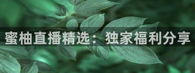 nba球神直播：蜜柚直播精选：独家福利分享
