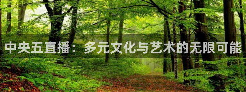 球神体育nba直播：中央五直播：多元文化与艺术的无限可能
