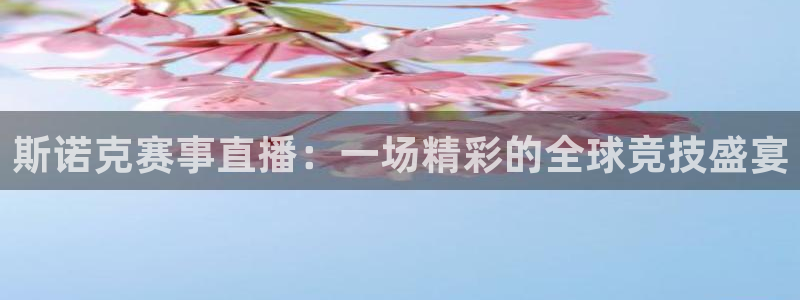 球神直播体育在线观看网址：斯诺克赛事直播：一场精彩的全球竞技盛宴