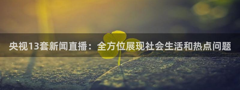 球神直播体育在线观看网站