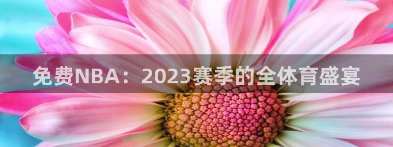 球神直播体育在线